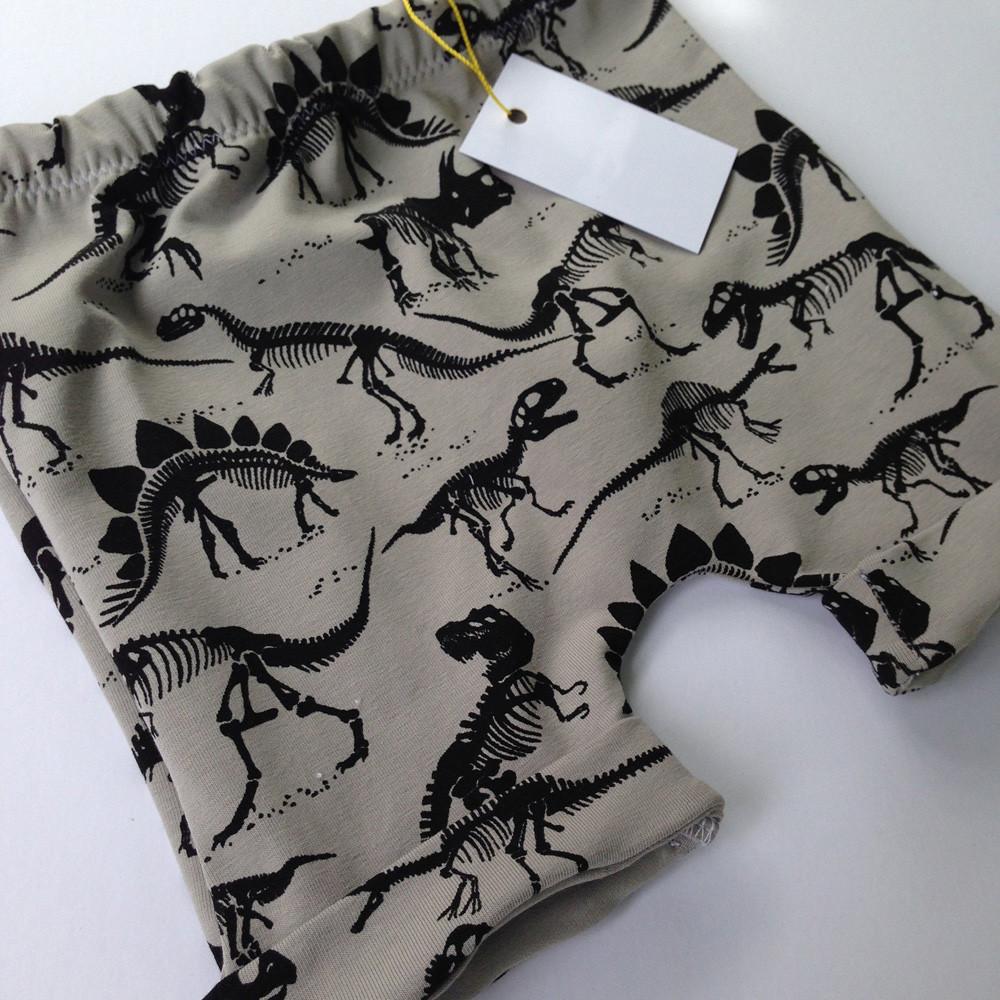 Dinosaurs On My Shorts